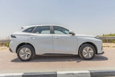 Dong Feng Forthing Friday - Electric - 410km - 2025 (Export)-6