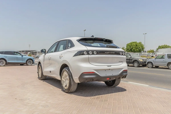 Dong Feng Forthing Friday - Electric - 410km - 2025 (Export)