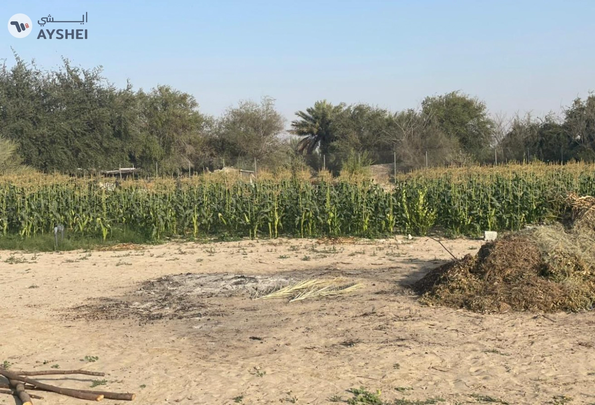 FARM FOR SALE IN AL SAMHA-2-2