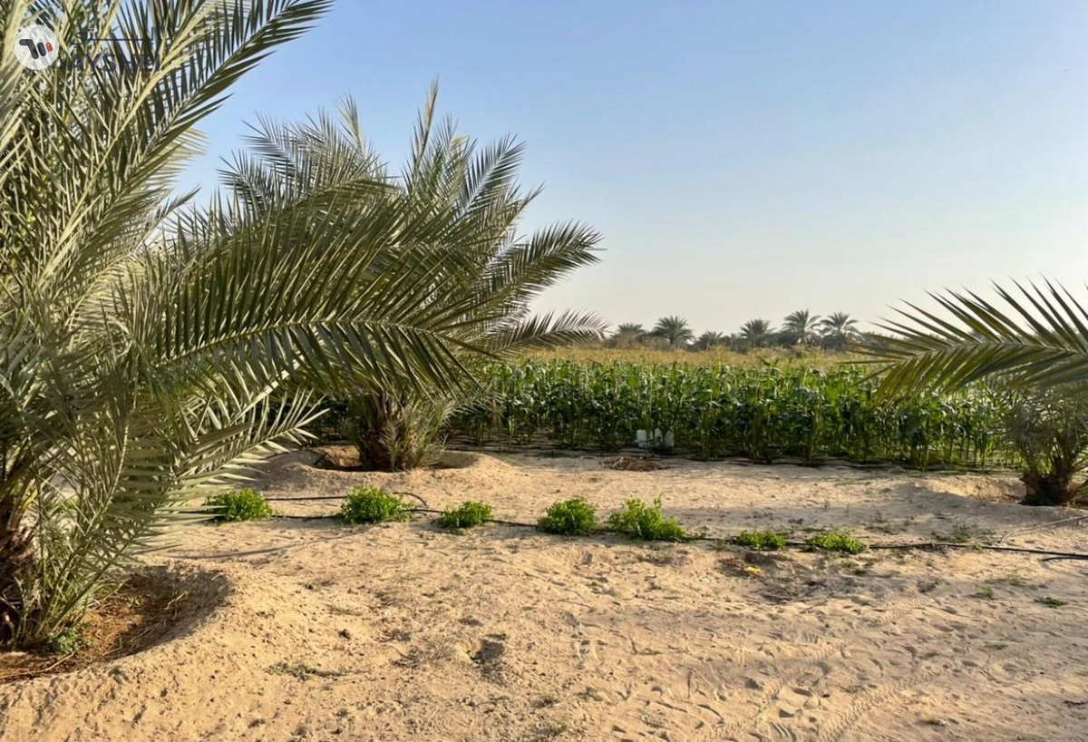 FARM FOR SALE IN AL SAMHA-3-3