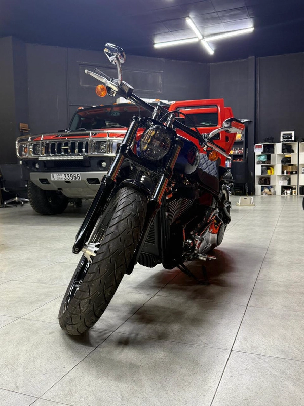 Harley-Davidson Cruiser Motorcycle