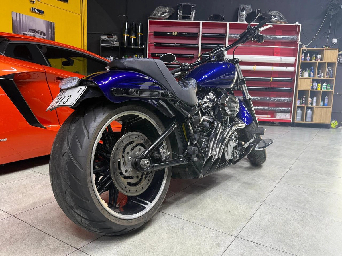 Harley-Davidson Cruiser Motorcycle-3-3
