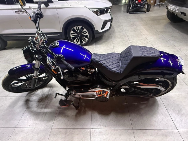 Harley-Davidson Cruiser Motorcycle