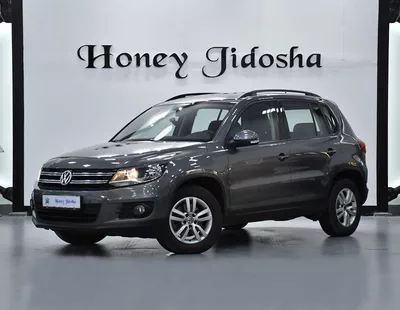 FULL AGENCY SERVICE HISTORY! Volkswagen Tiguan ( 2016 Model ) in Grey Color GCC Specs-7