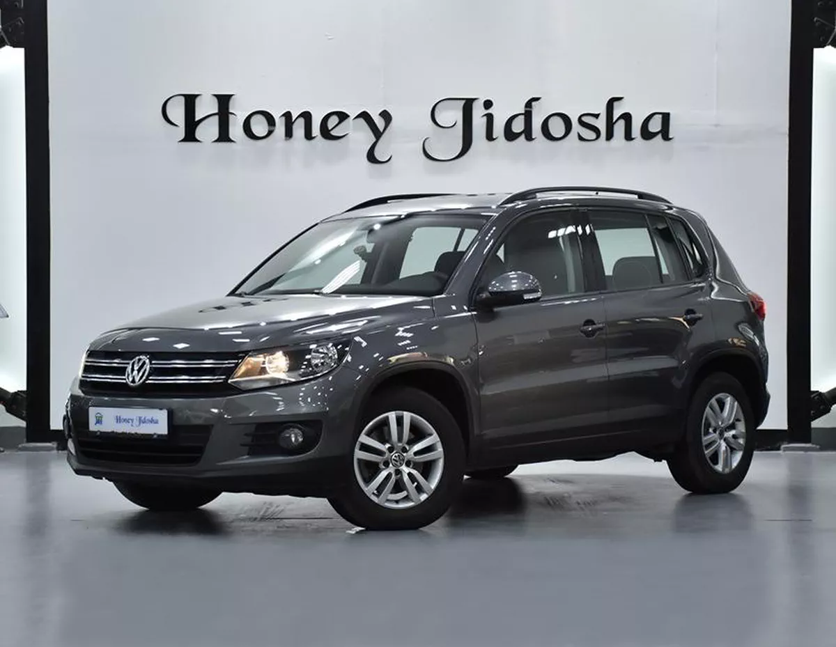 FULL AGENCY SERVICE HISTORY! Volkswagen Tiguan ( 2016 Model ) in Grey Color GCC Specs-7-7