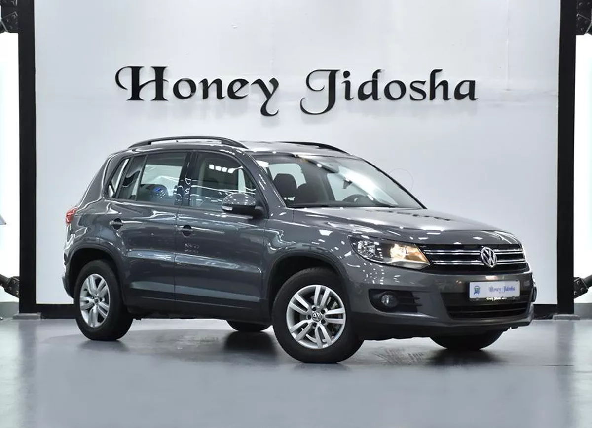 FULL AGENCY SERVICE HISTORY! Volkswagen Tiguan ( 2016 Model ) in Grey Color GCC Specs-2-2