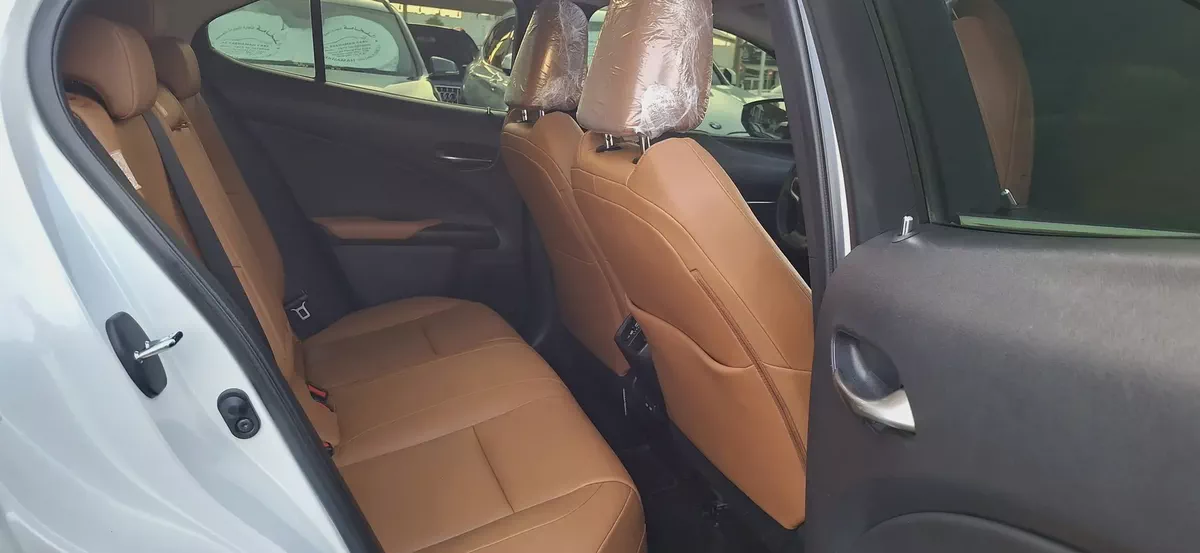 Lexus UX 200 2021 GCC Specs - Pristine Condition-10-10