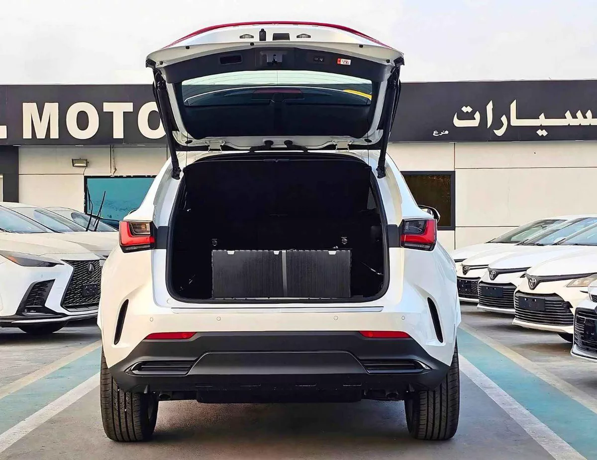 Lexus NX350 ELITE, OM / 2.4L PETROL / PWR WITH LEATHER SEATS / BLIND SPOT/  SUNROOF ( CODE # NXP3E)-3-0