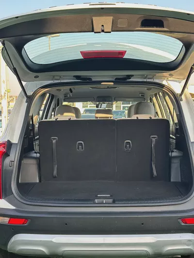 Kia Telluride EX | 2020 | GCC | 133,000 km | White / Grey | 7 Seater-19