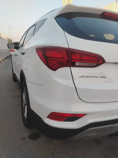 Hyundai Santa Fe Sport 2018 |-16