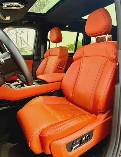 Rox 01 VIP 2024 Chinese Specs Luxury Hybrid SUV-13