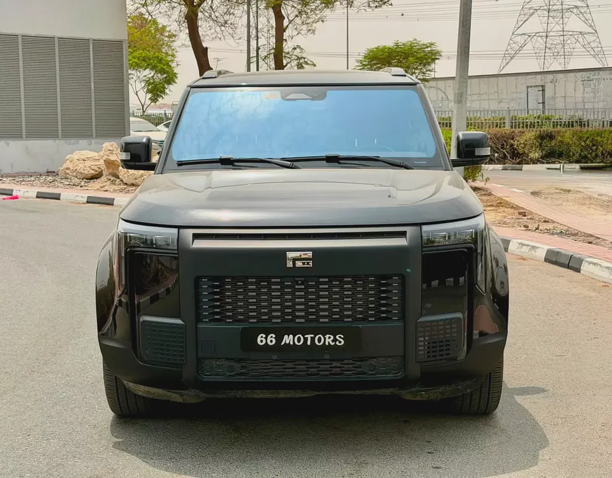 Rox 01 VIP 2024 Chinese Specs Luxury Hybrid SUV-2-2