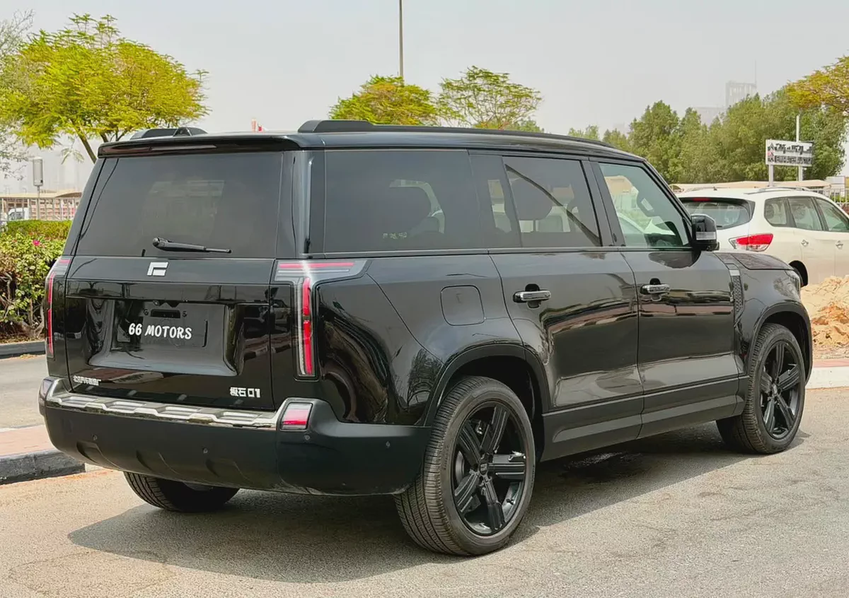 Rox 01 VIP 2024 Chinese Specs Luxury Hybrid SUV-3-3