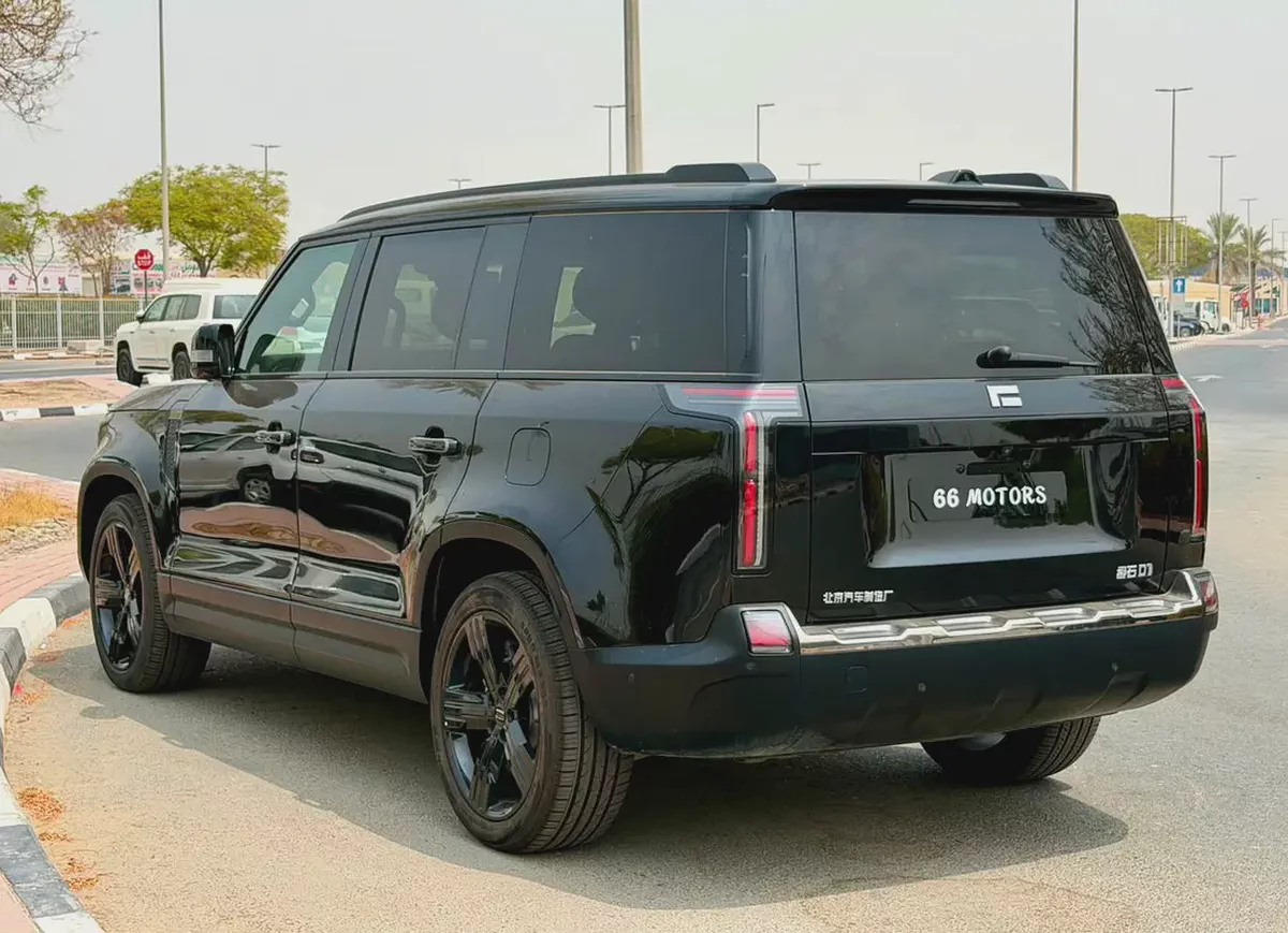 Rox 01 VIP 2024 Chinese Specs Luxury Hybrid SUV-5-5