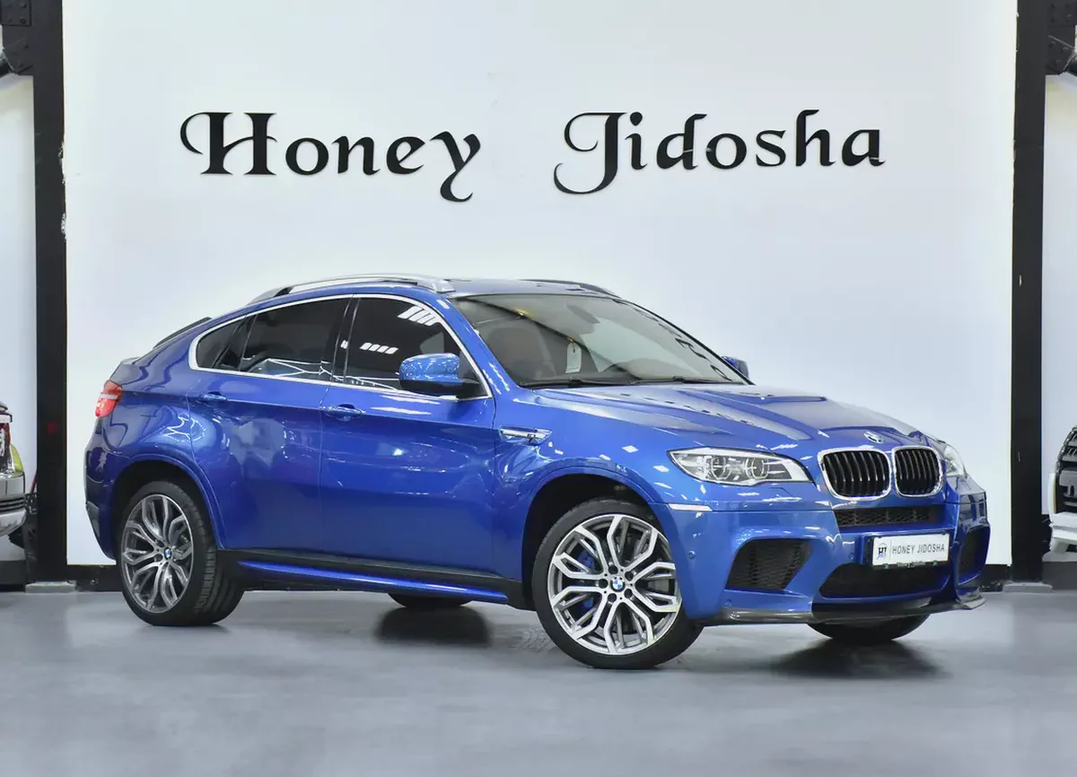 EXCELLENT DEAL for our BMW X6 M ( 2013 Model ) in Blue Color GCC Specs-2-2