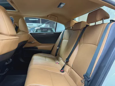 Lexus ES-Series ES 300h Platinum-1