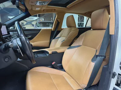 Lexus ES-Series ES 300h Platinum-3