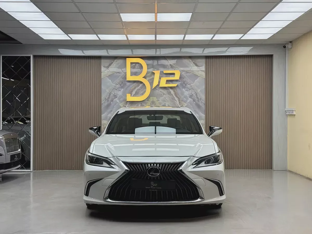 Lexus ES-Series ES 300h Platinum