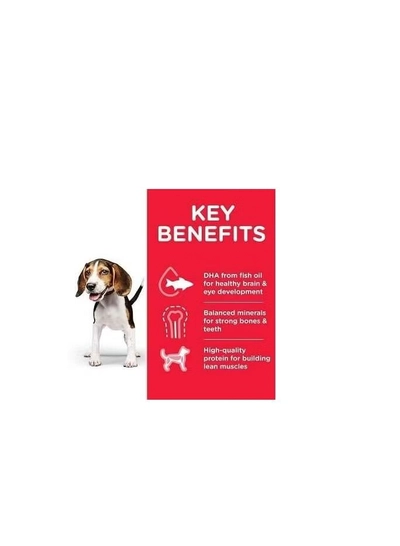 Hills Puppy Medium - Dry Food For Puppies With Chicken 2.5 Kg-2