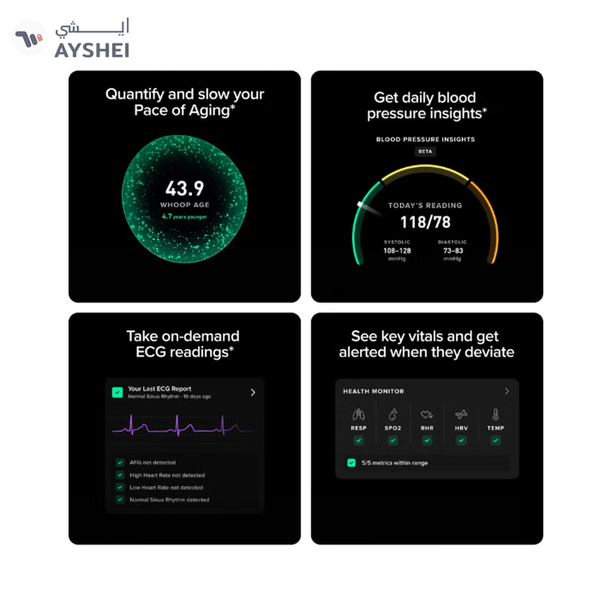 Whoop Life – 12-Month Membership – 5.0 – Health & Fitness Tracker – Blood Pressure Insights-1-1