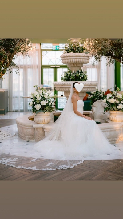 Elegant Wedding Dress + Matching Veil for Sale-2