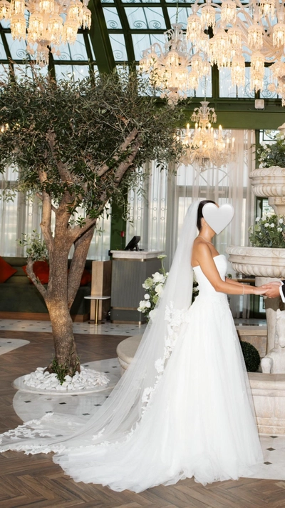 Elegant Wedding Dress + Matching Veil for Sale-4