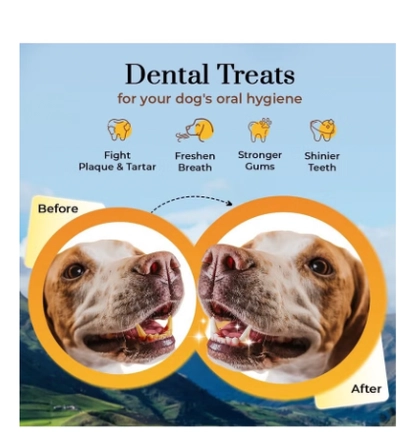 Dogsee Turmeric Small Bars: Long-Lasting Dental Chews for Small Dogs 100g-3