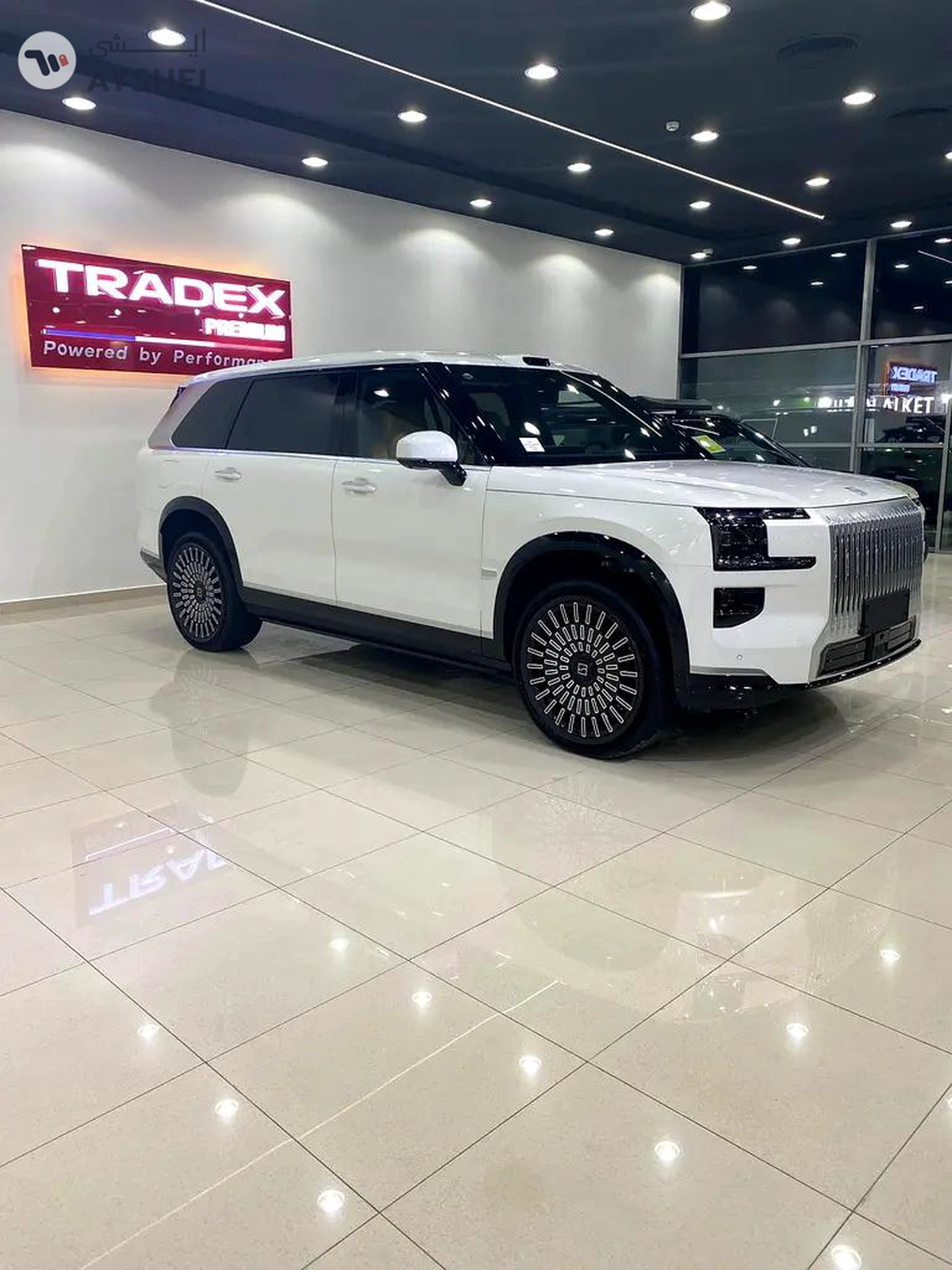 Zeekr 9 Luxury-7-7
