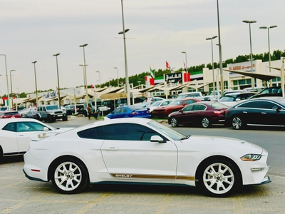 2023 Ford Mustang Ecoboost Premium - # 12590-8