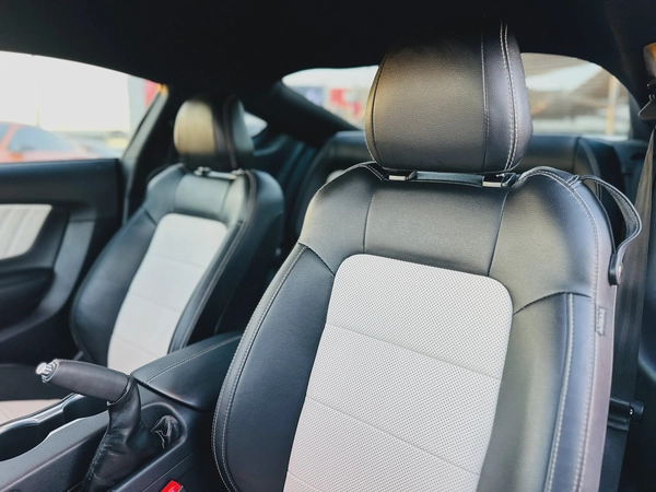 2023 Ford Mustang Ecoboost Premium - # 12590