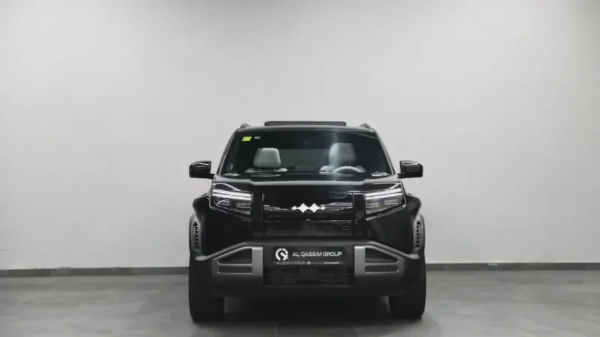 BYD Leopard Titanium 3 max-2-2