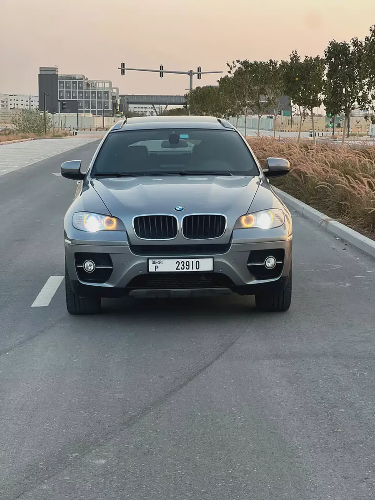 2010 BMW X6 xDrive30i Luxury Line GCC Specs
