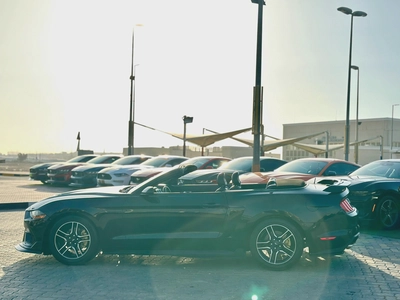 2022 Ford Mustang Ecoboost Convertible - # 19652-5