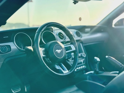 2022 Ford Mustang Ecoboost Convertible - # 19652-1