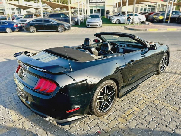 2022 Ford Mustang Ecoboost Convertible - # 19652