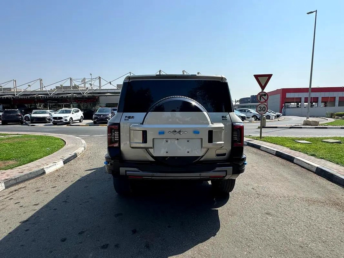 BYD Leopard 8 Other-5-5
