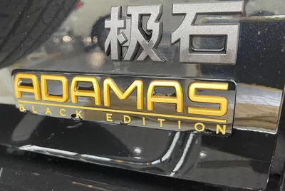 ROX Adamas VIP BLACK EDITION 7 seater-12