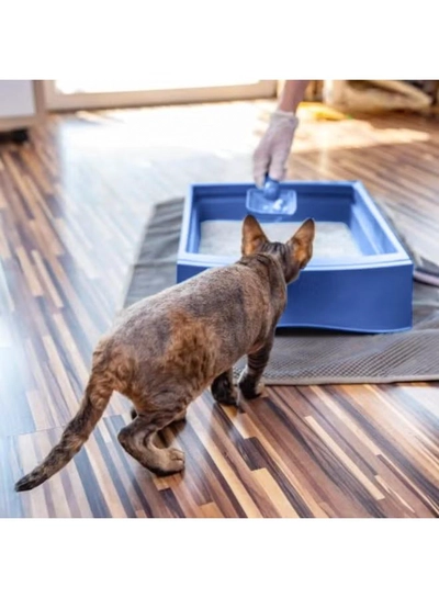 Rigor Cat Cat Natural White Bentonite Clumping Litter - Natural/Unscented - 5L-2