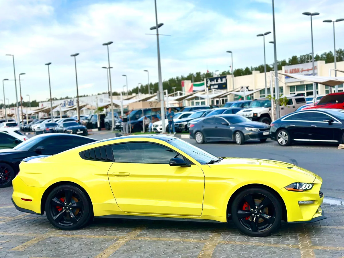 2021 Ford Mustang Ecoboost - # 12617-4-4