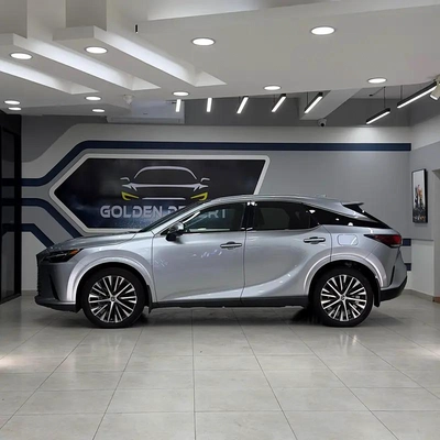 Lexus RX-Series RX 350 Platinum-9