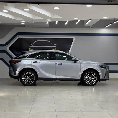 Lexus RX-Series RX 350 Platinum-7