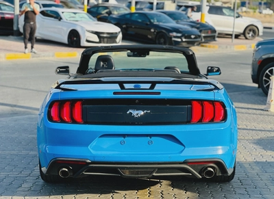2022 Ford Mustang Ecoboost Convertible-4