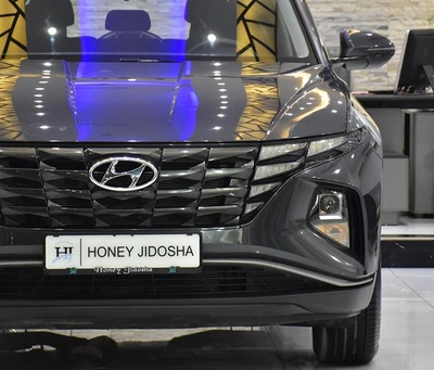 Hyundai Tucson ( 2023 Model ) in Grey Color GCC Specs-9