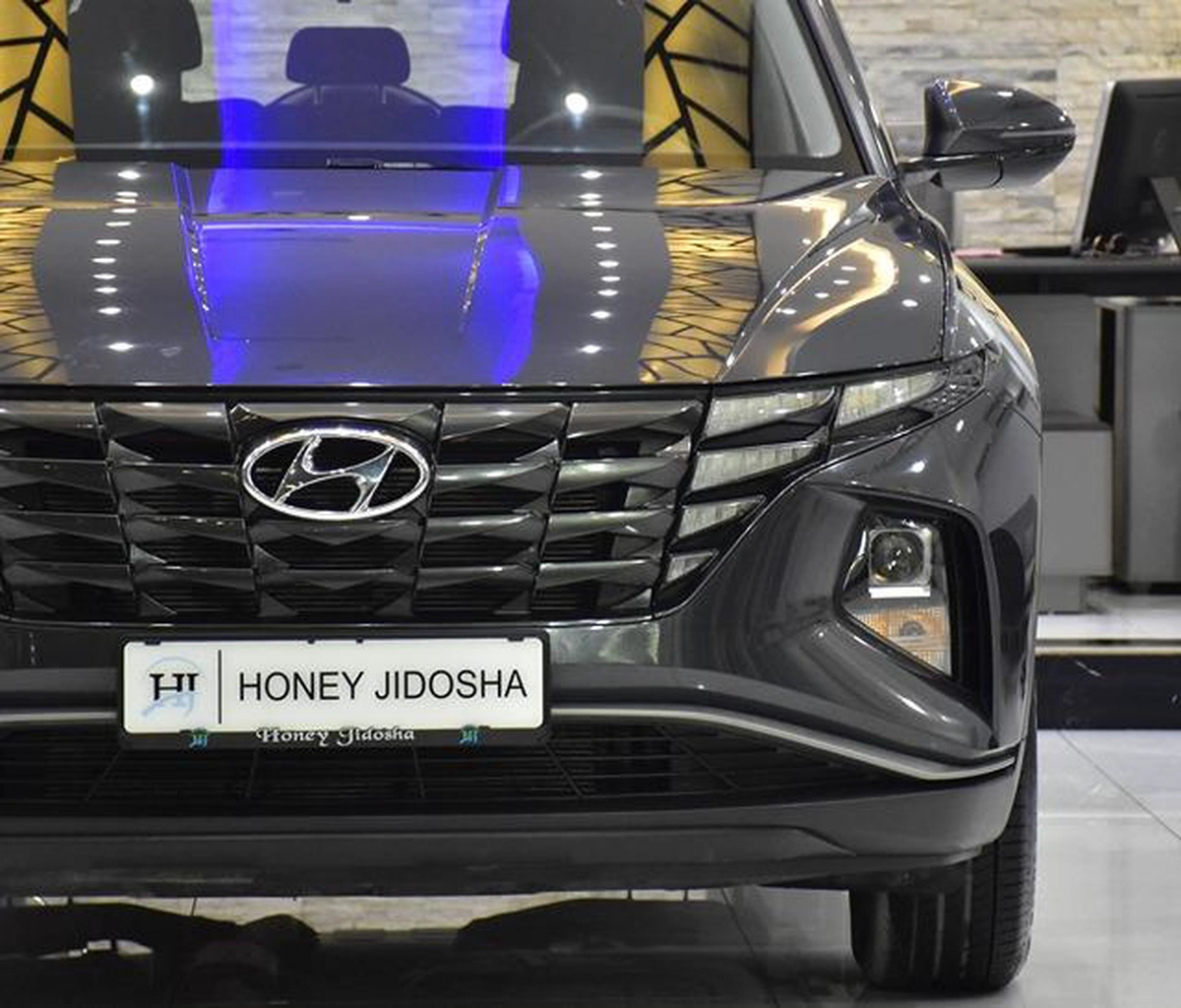 Hyundai Tucson ( 2023 Model ) in Grey Color GCC Specs-9-9