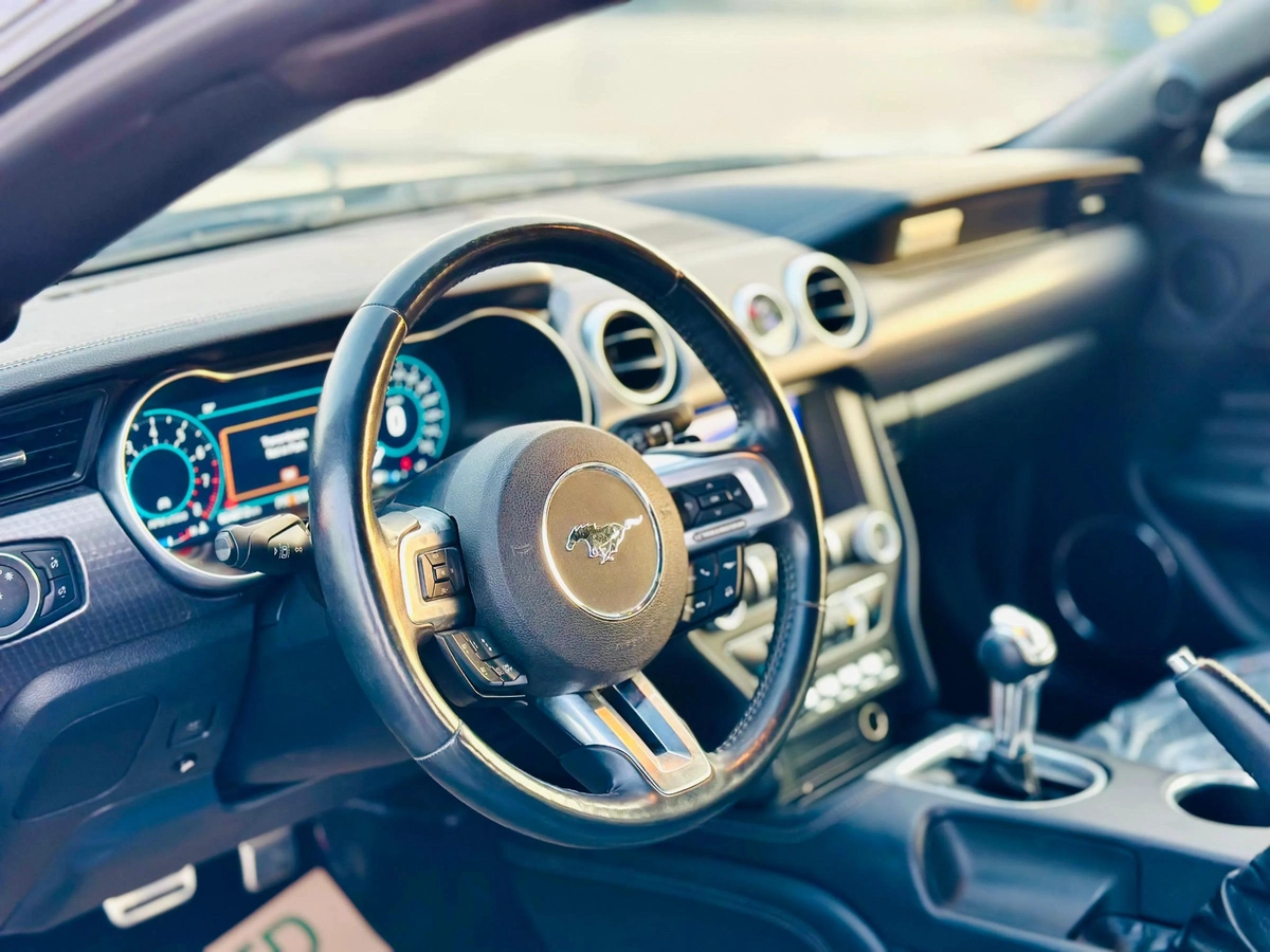 2019 Ford Mustang Ecoboost High Performance - # 28163-2-2