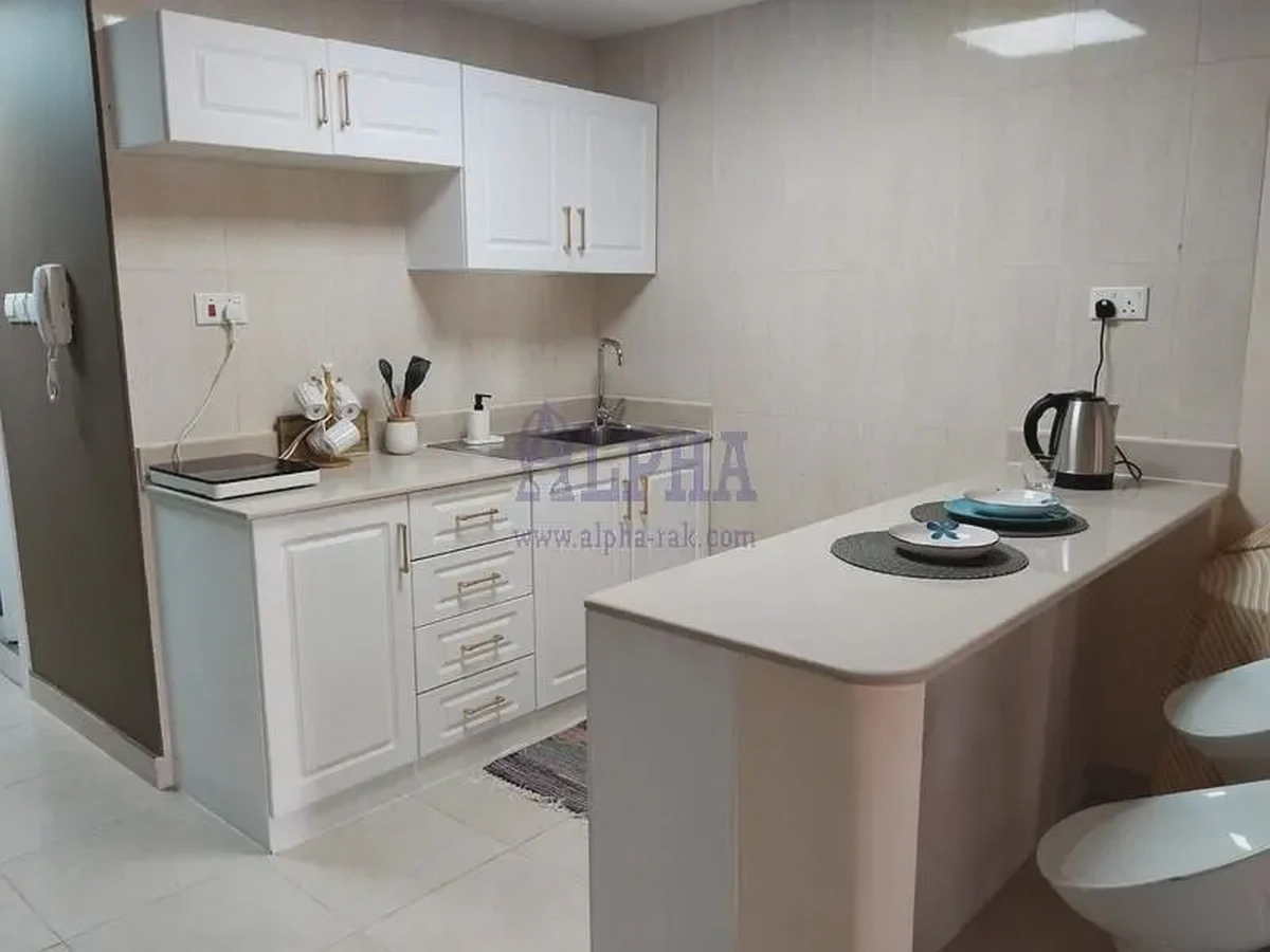 Luxury Fully Furnished Studio | Short Term Rental-5-5