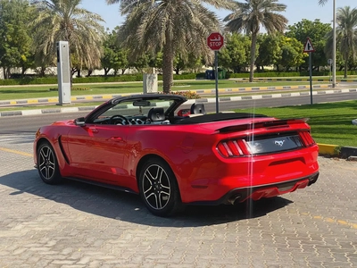 2016 Mustang Ecoboost Premium --1