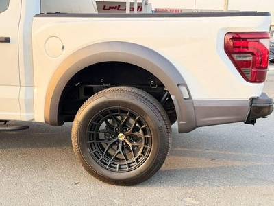 Ford F-150 Ford F- 150 4x4-14