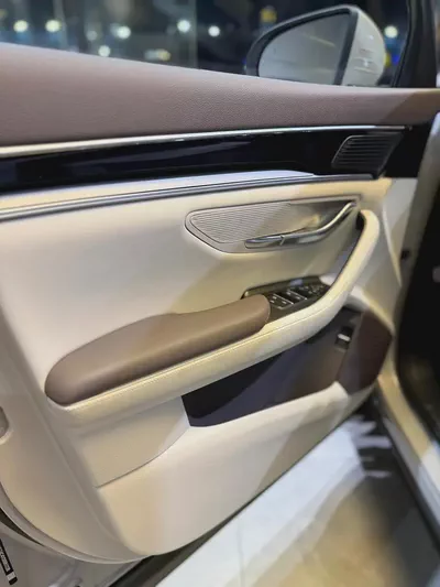 BYD Song Plus DM-i 2025 Brand new With warranty-9