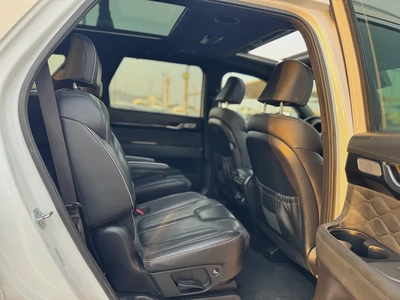 Oferr for Hyundai Palisade 2022 white Edition-12